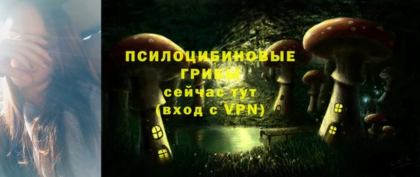 метадон Богородск