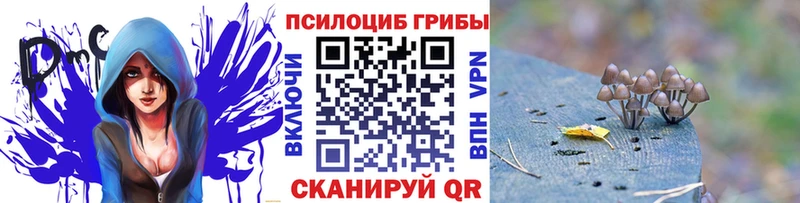 Псилоцибиновые грибы ЛСД  Наволоки 